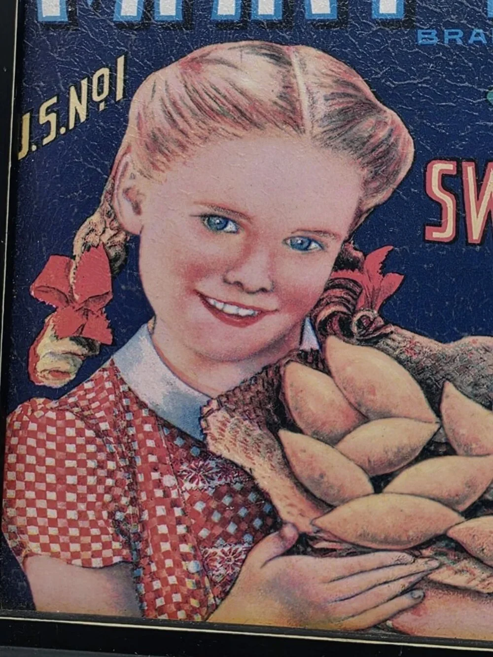 Mary Agnes Sweet Potato Yams Vintage Retro Framed Art Print Farmhouse 11x13